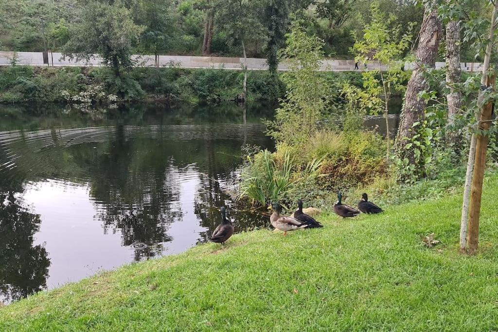 Nature E Spa Al - Termas Saude E Beleza, Totalmente Renovado - Piscinas Municipais Em Frente - Epoca Julho A Setembro 사오페드로도술 외부 사진