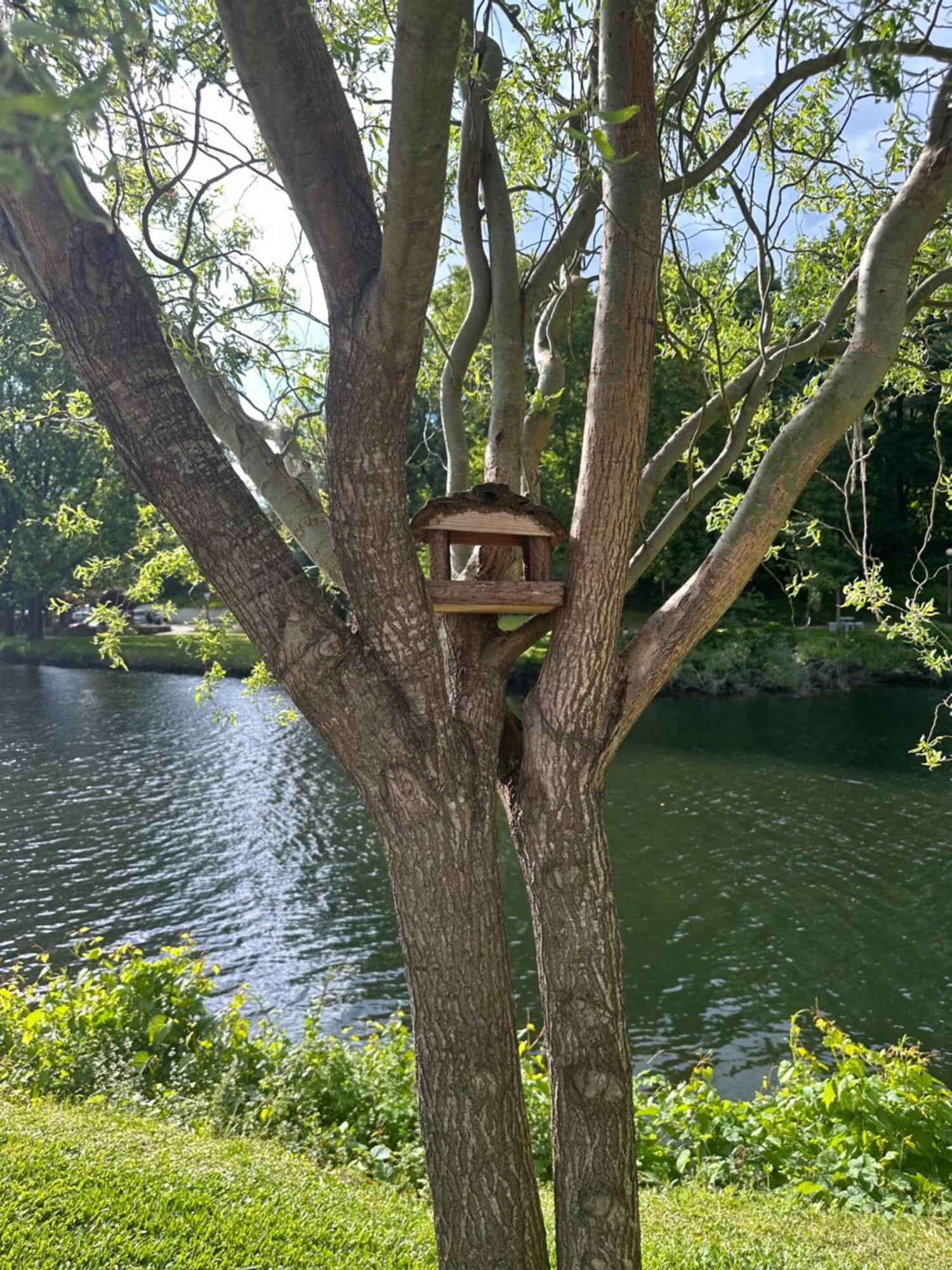 Nature E Spa Al - Termas Saude E Beleza, Totalmente Renovado - Piscinas Municipais Em Frente - Epoca Julho A Setembro 사오페드로도술 외부 사진